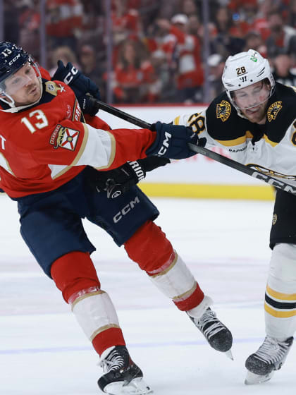 南美解放者 南美解放者