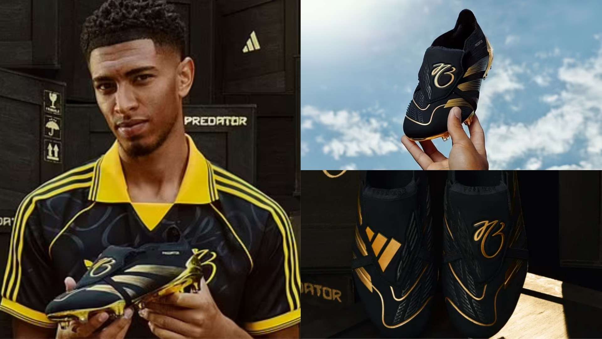 赛事的运动 赛事的运动